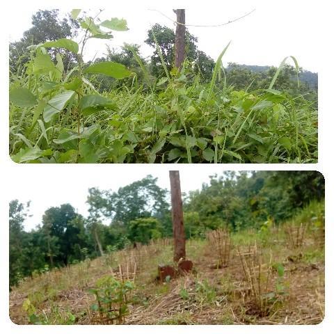 WhatsApp Image 2020-09-22 at 4.02.44 PM.jpeg